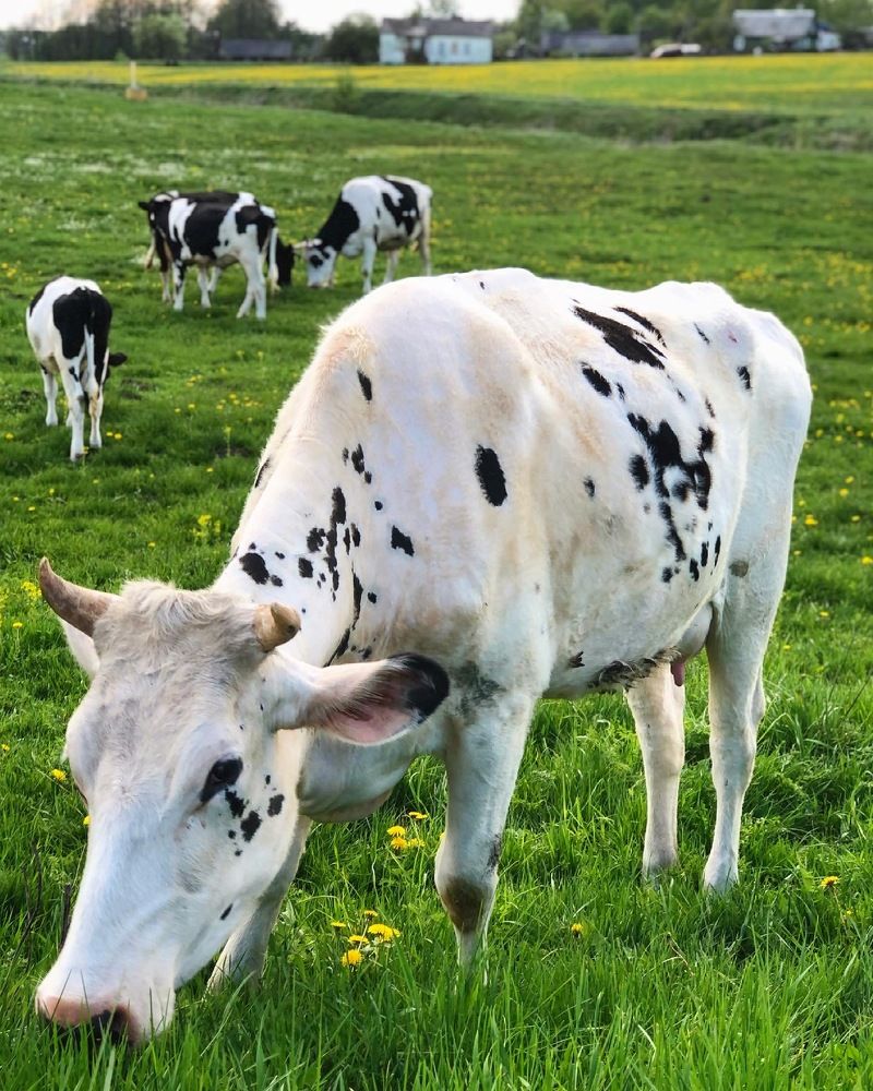 Photograph by Лариса Акинчиц