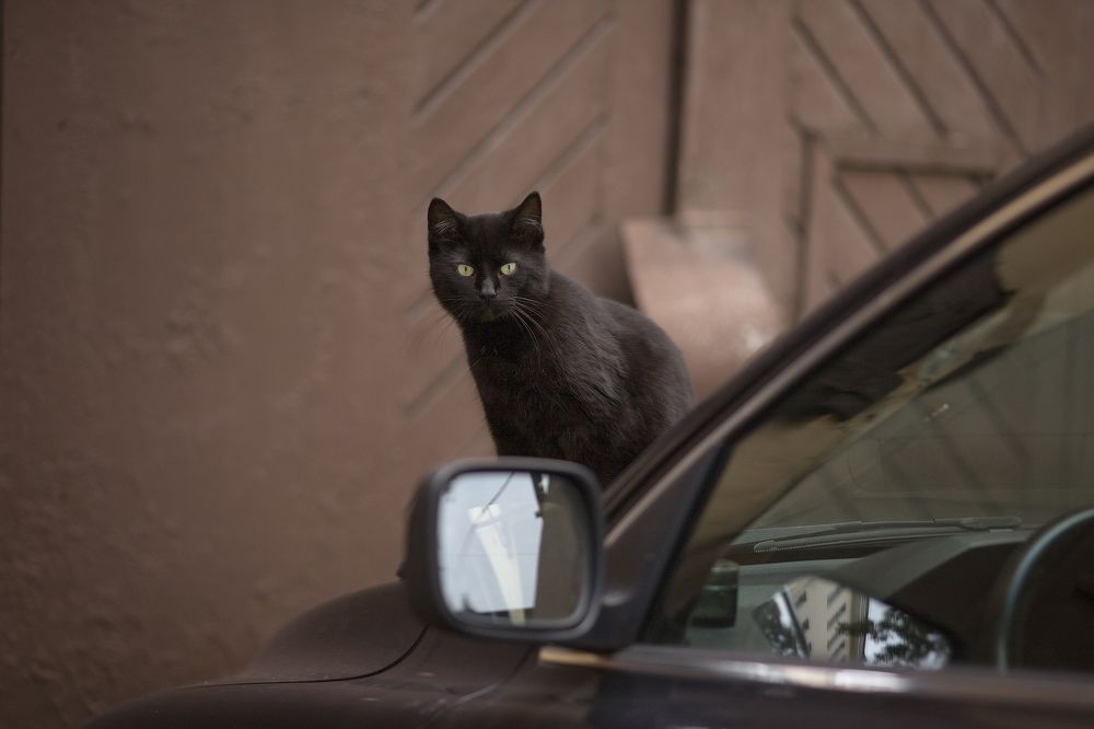 Photograph by Людмила Прошина