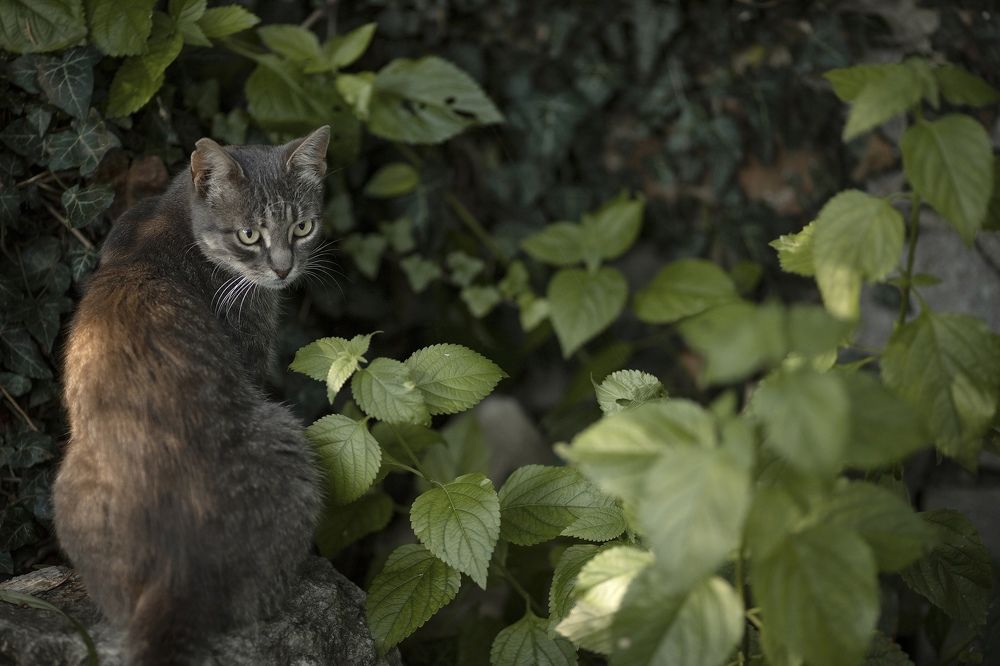 Photograph by Людмила Прошина