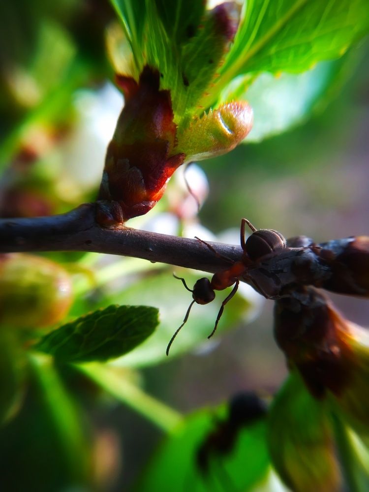 Photograph by Любовь Коровацкая