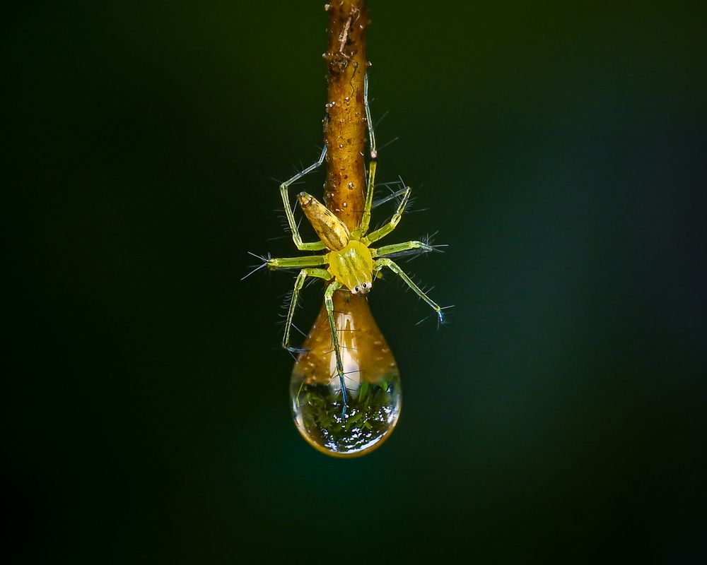 Each drop of water can save a life.