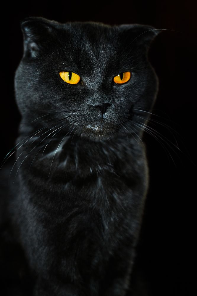 Photograph by Виктор