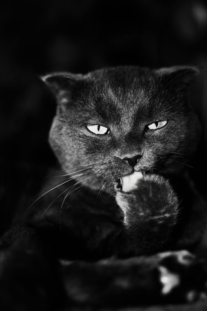 Photograph by Виктор