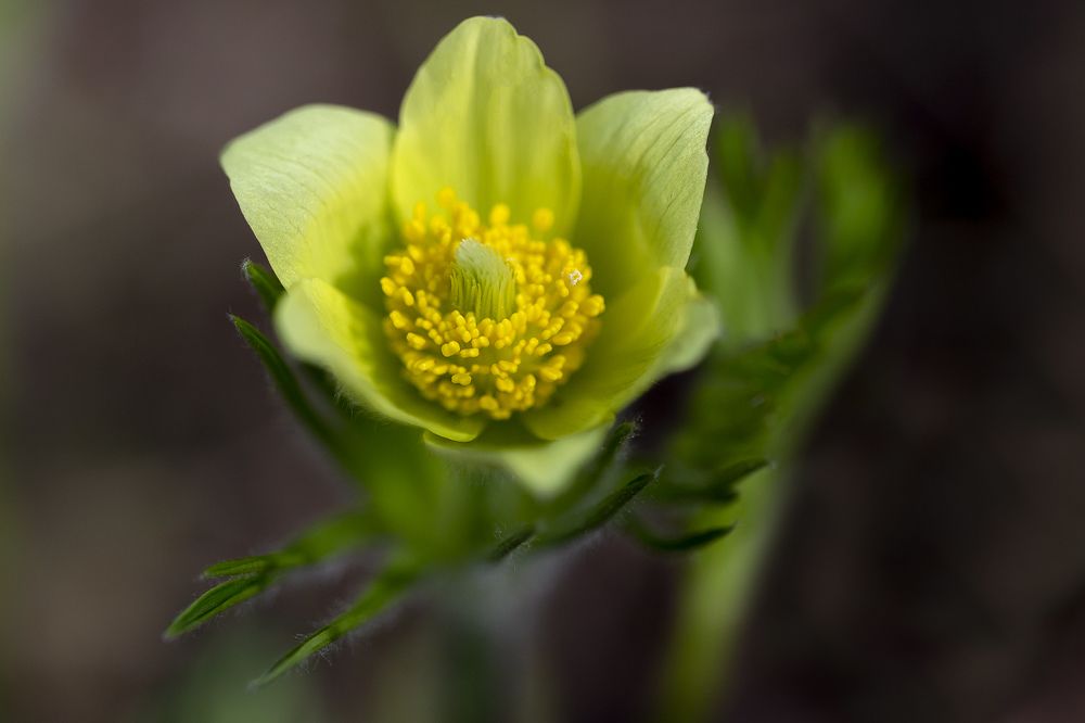 Photograph by Олег Тетерин