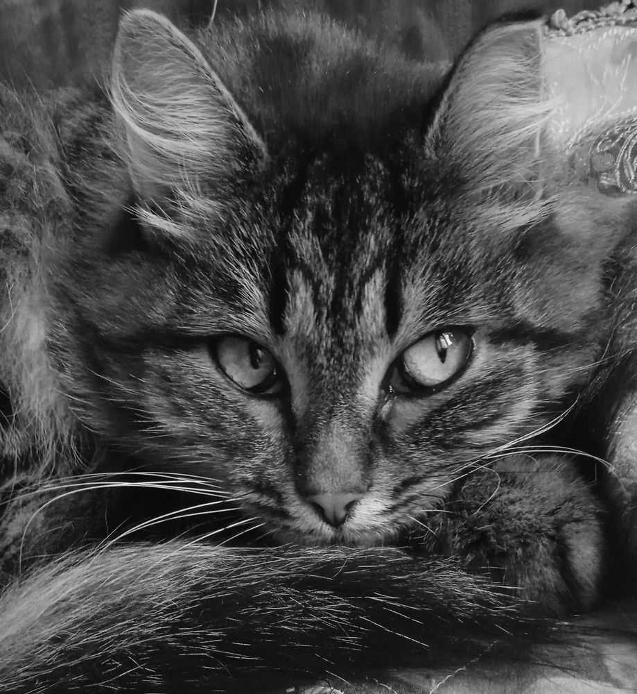 Photograph by Евсеева Валентина