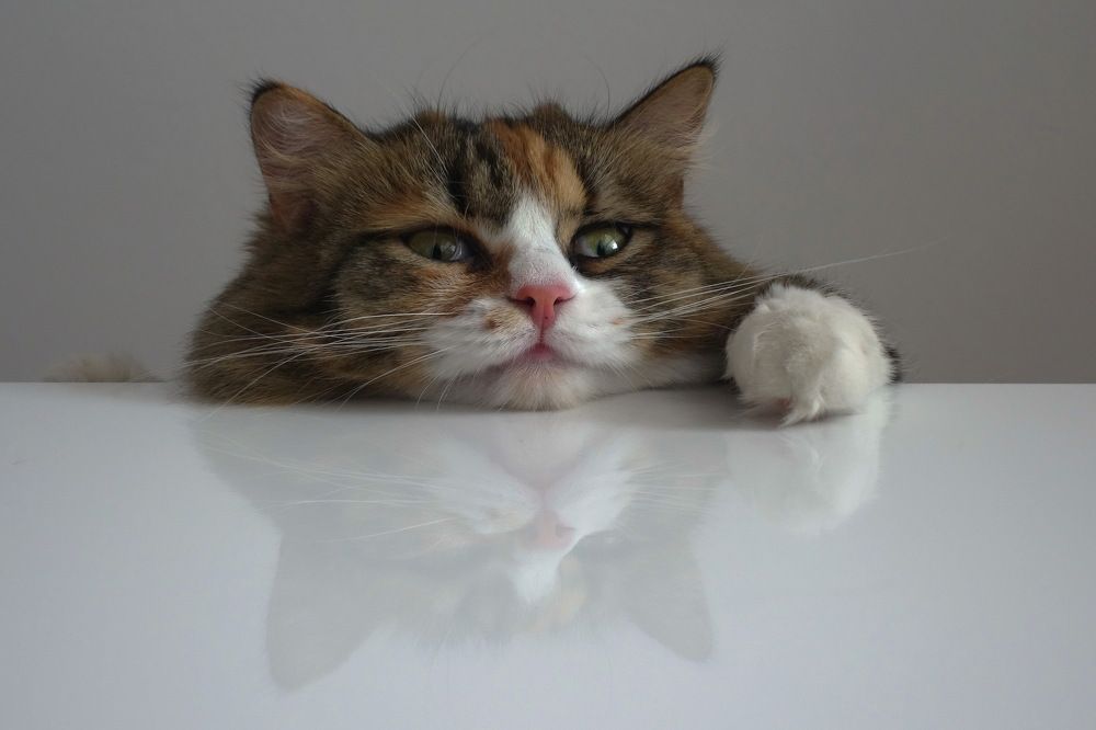 Photograph by Сергей Гребенников