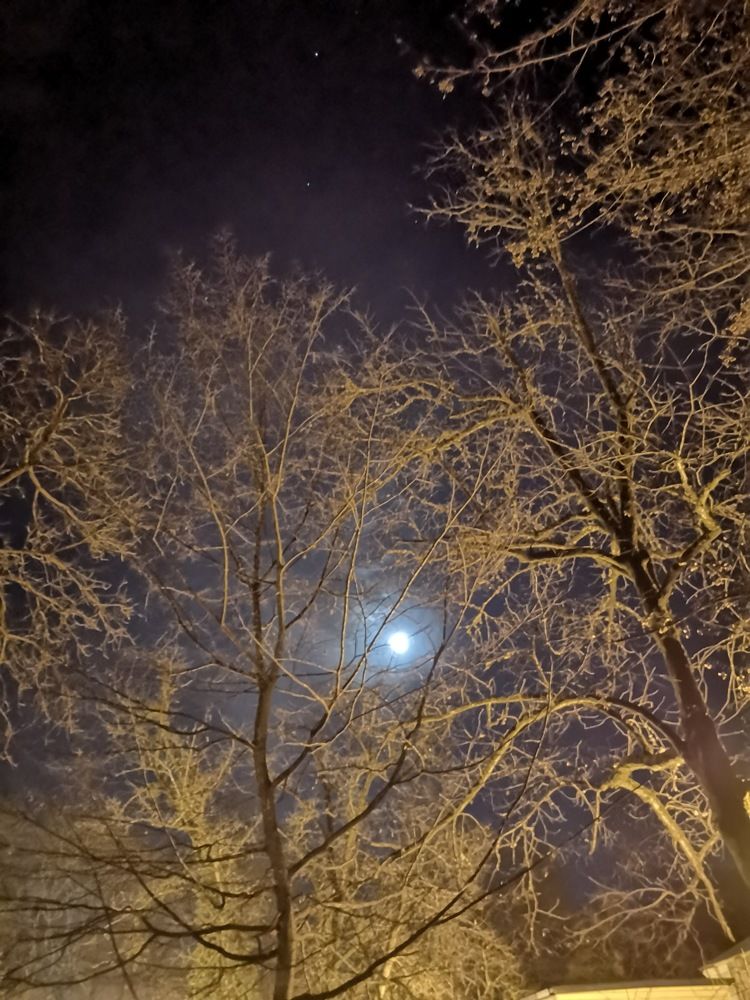 Photograph by Ангелина