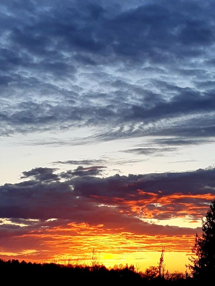 Photograph by Наталья Михалина