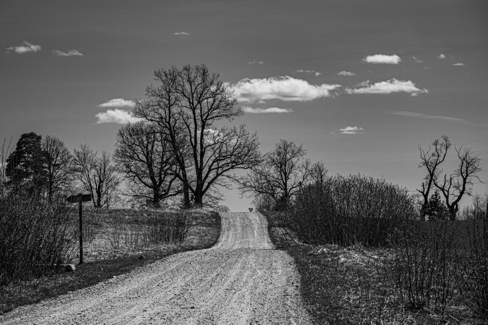 Photograph by Valdis Serzhans