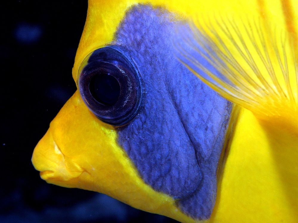 Photograph by Сергей Глущенко