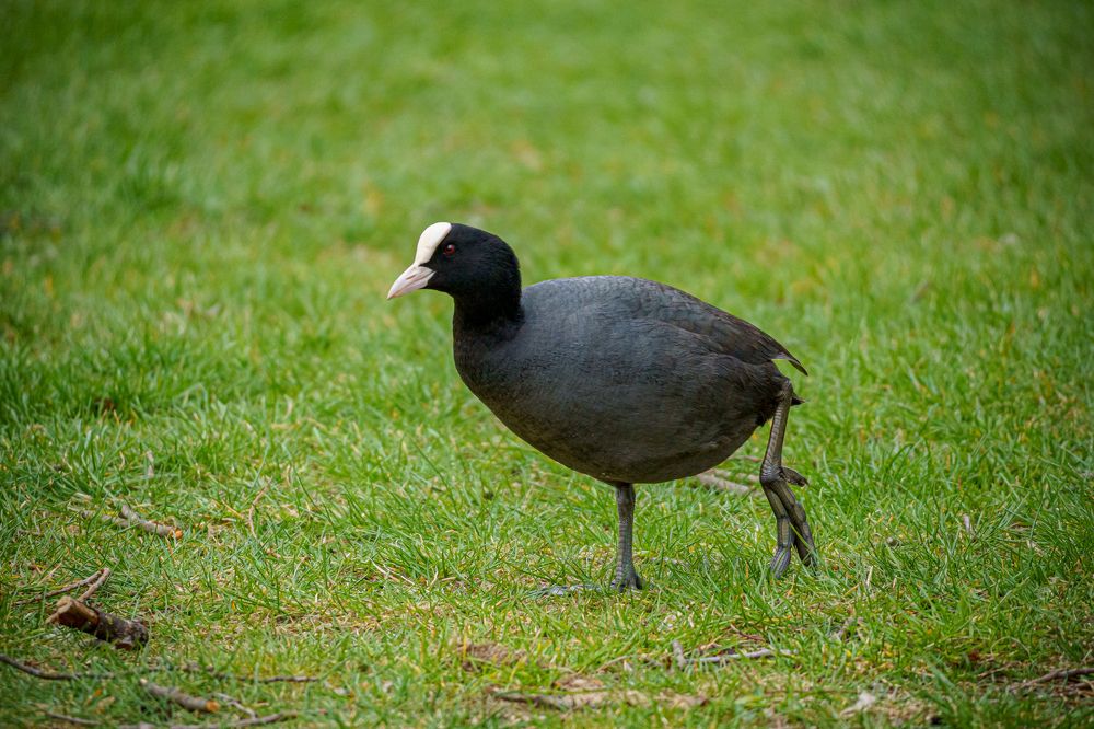 Photograph by Valdis Serzhans