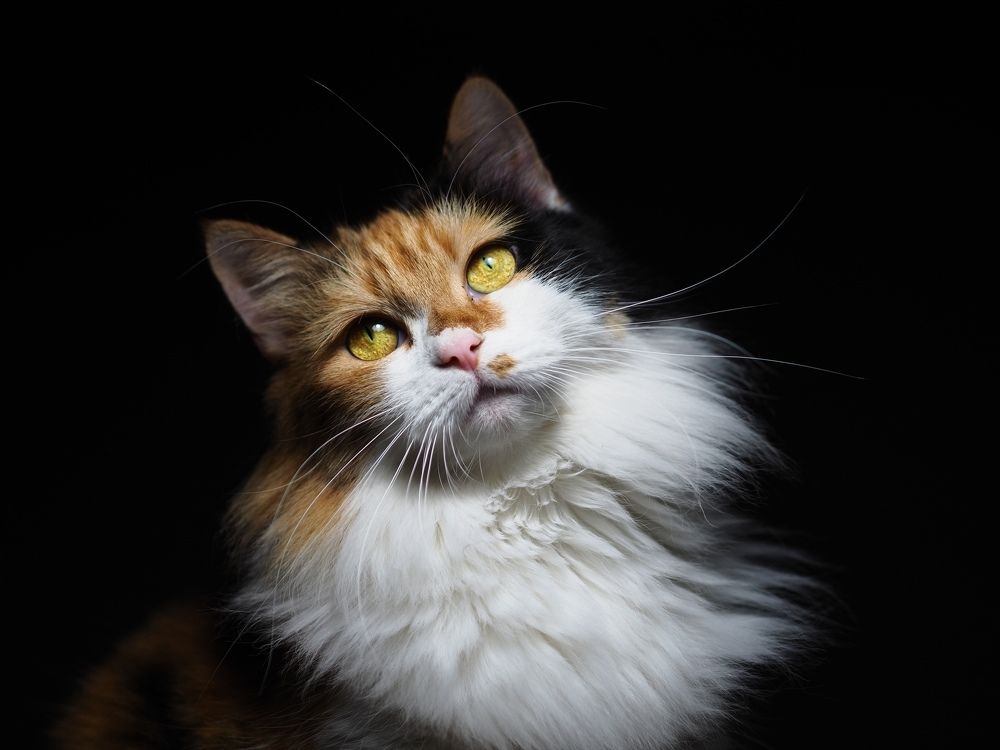 Photograph by Антон Рогалевич