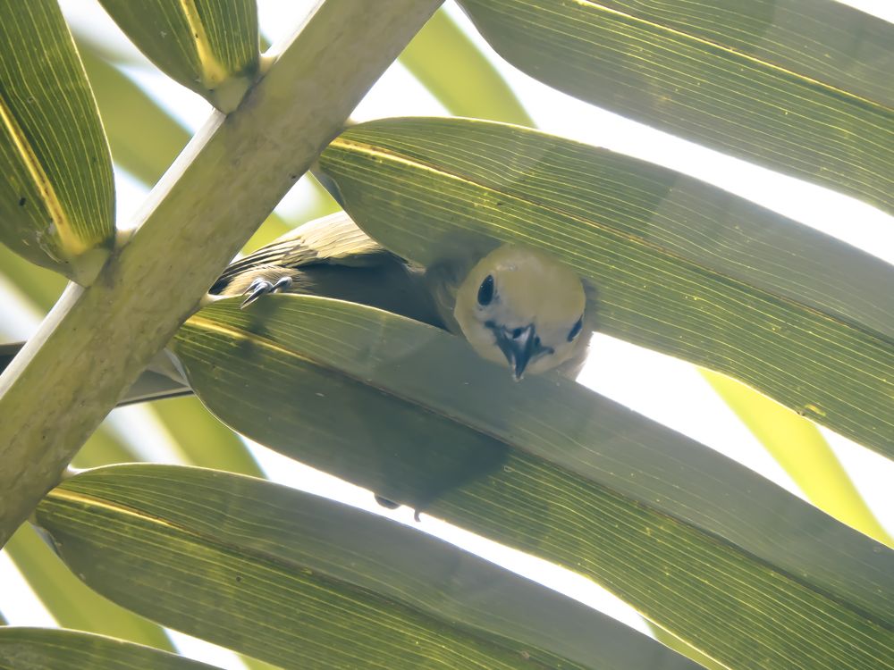 Photograph by Rodrigues Helena