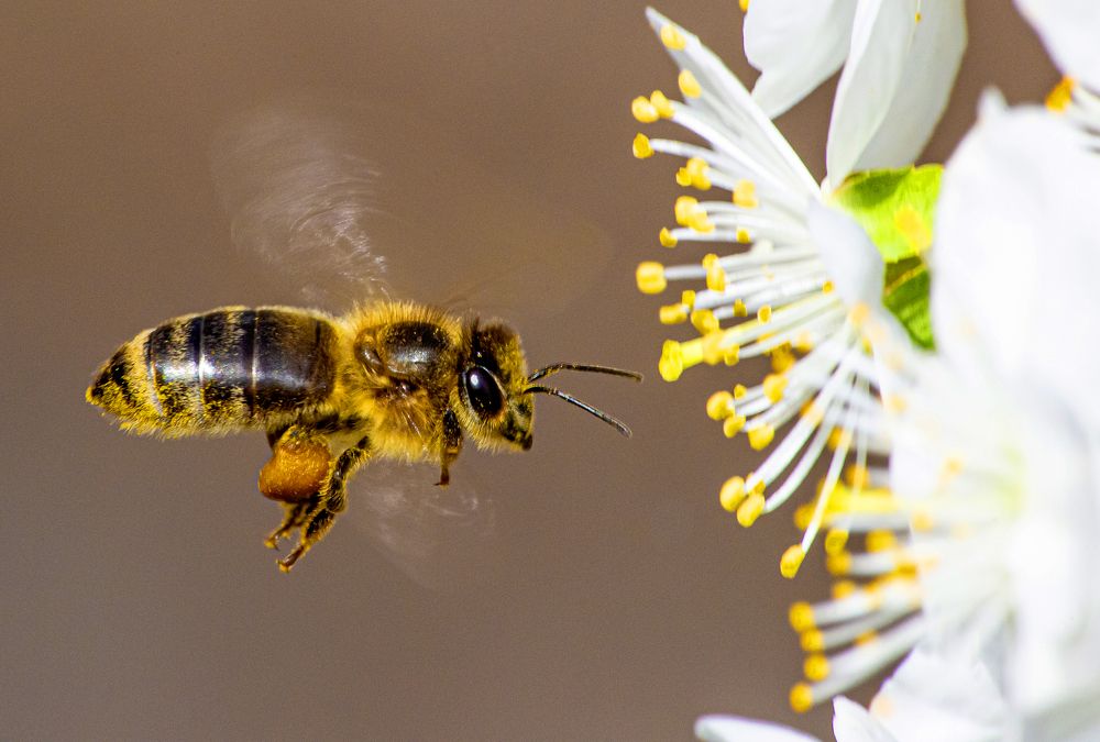 Photograph by Сергей Пак