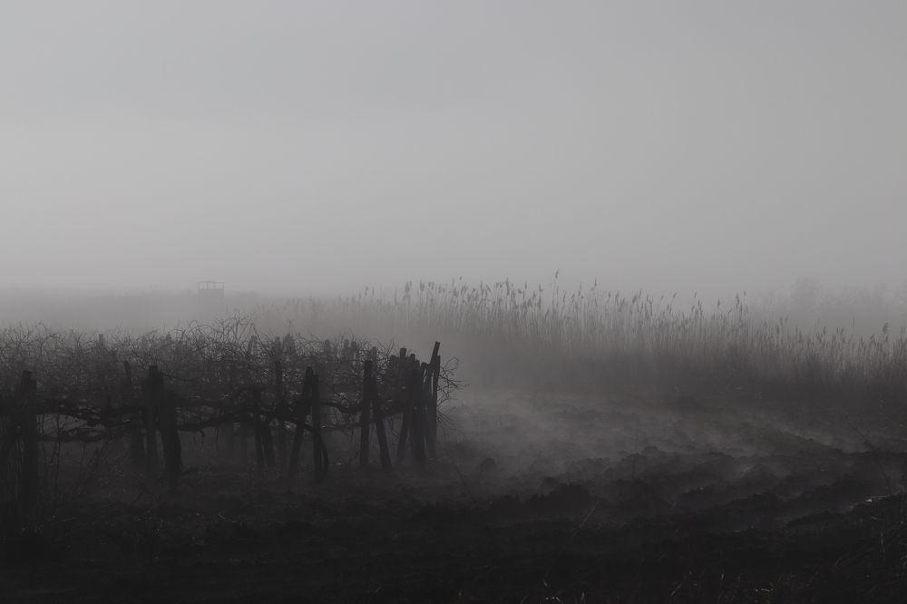 Photograph by Alexandr Tulinov