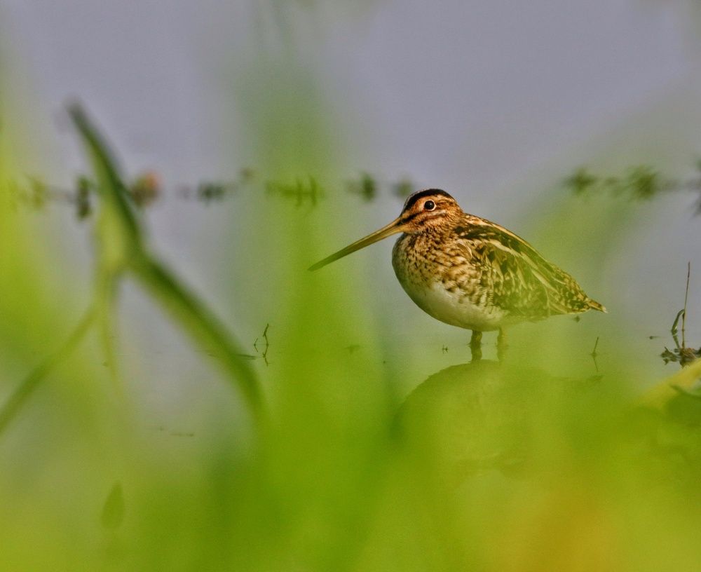 Photograph by RITUPARNA THAKUR