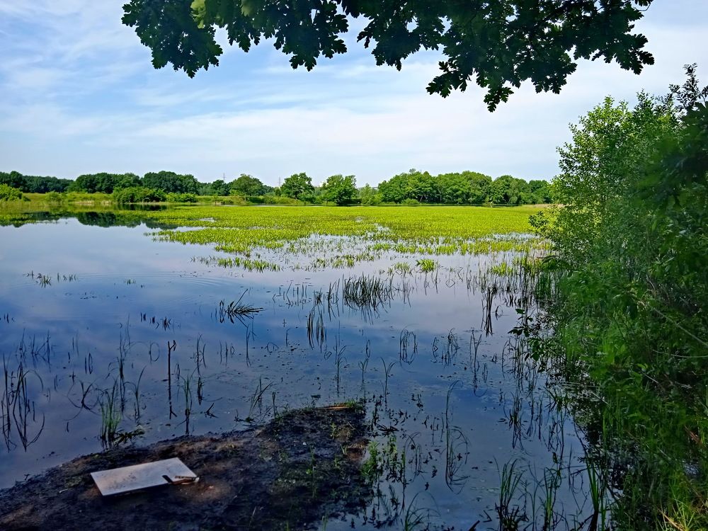 Photograph by Николай Николаевич Леухин