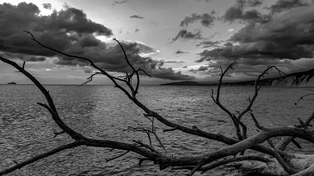 Photograph by Елена Бохолдина