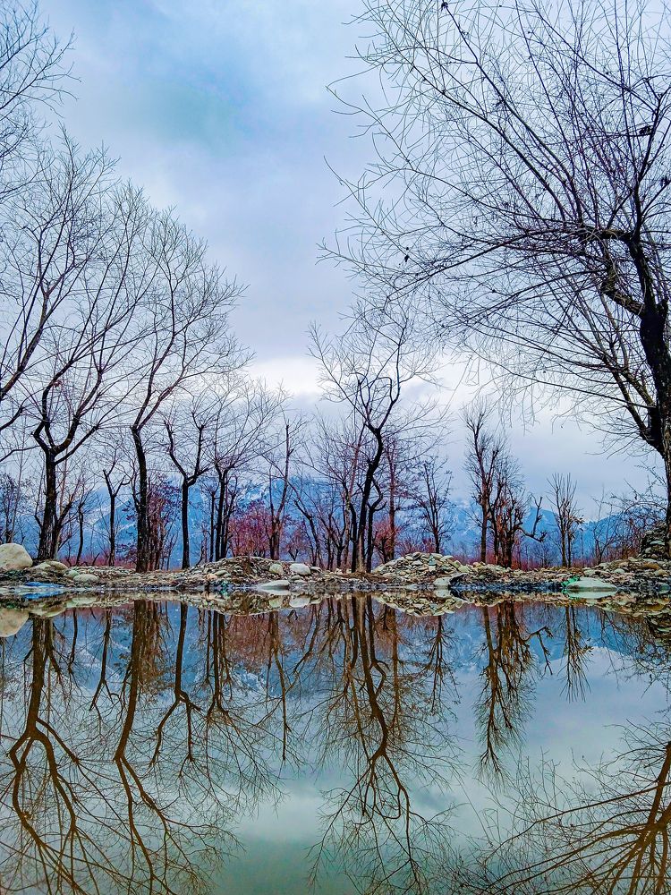 Mesmerizing Puddle Shot.