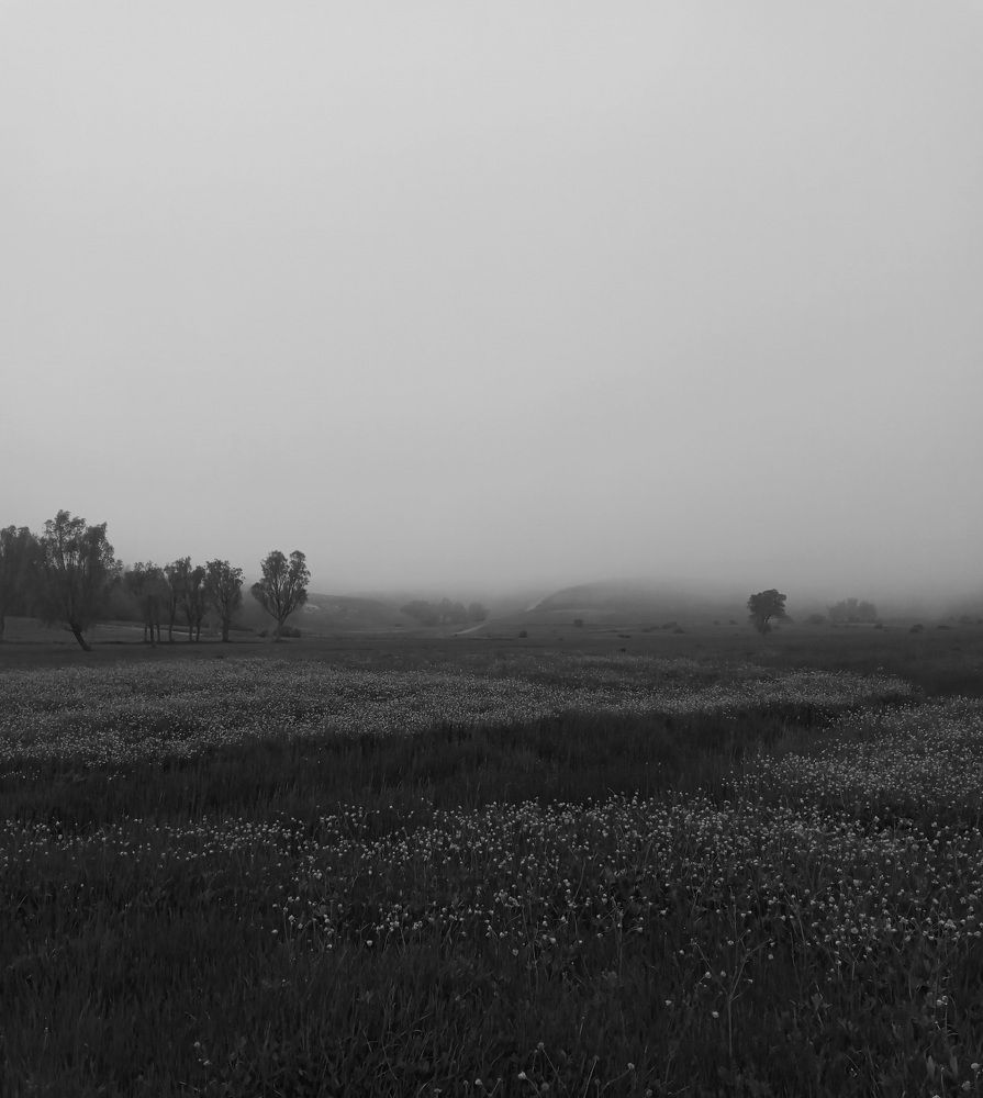 Photograph by Roghayeh Dannandeh