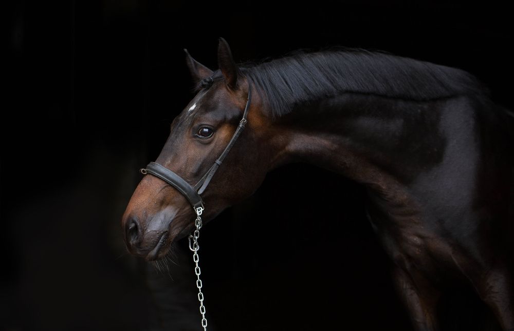 Photograph by Похабова Любовь