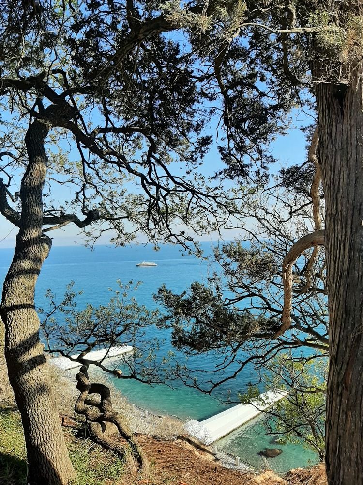 Photograph by Olga Smirnova