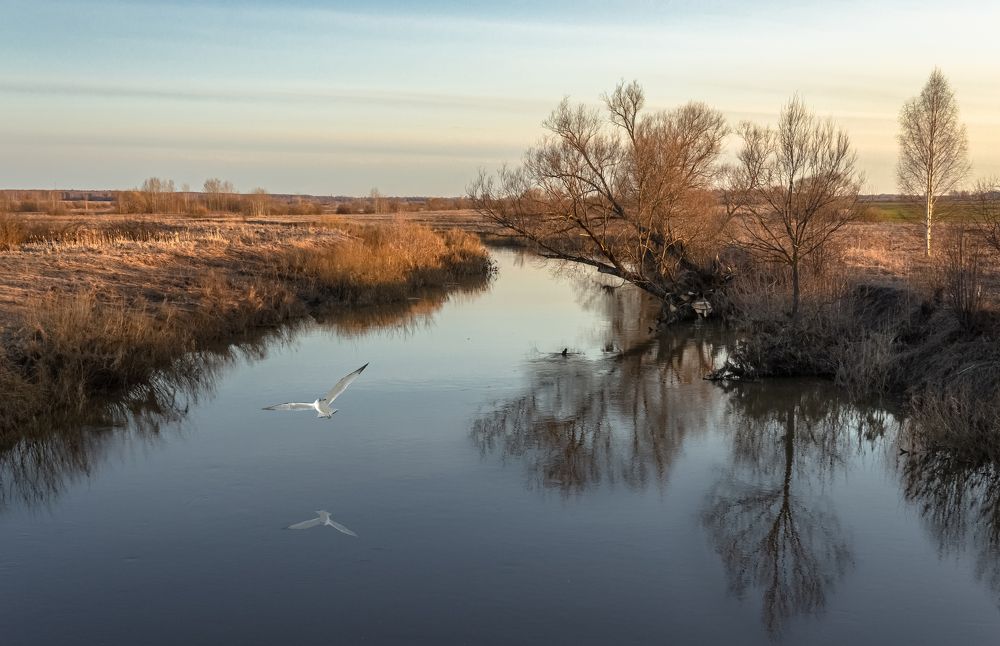 Photograph by Вениамин Кожинов