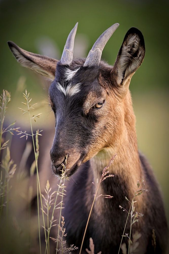 Photograph by Михаил Хмелевский