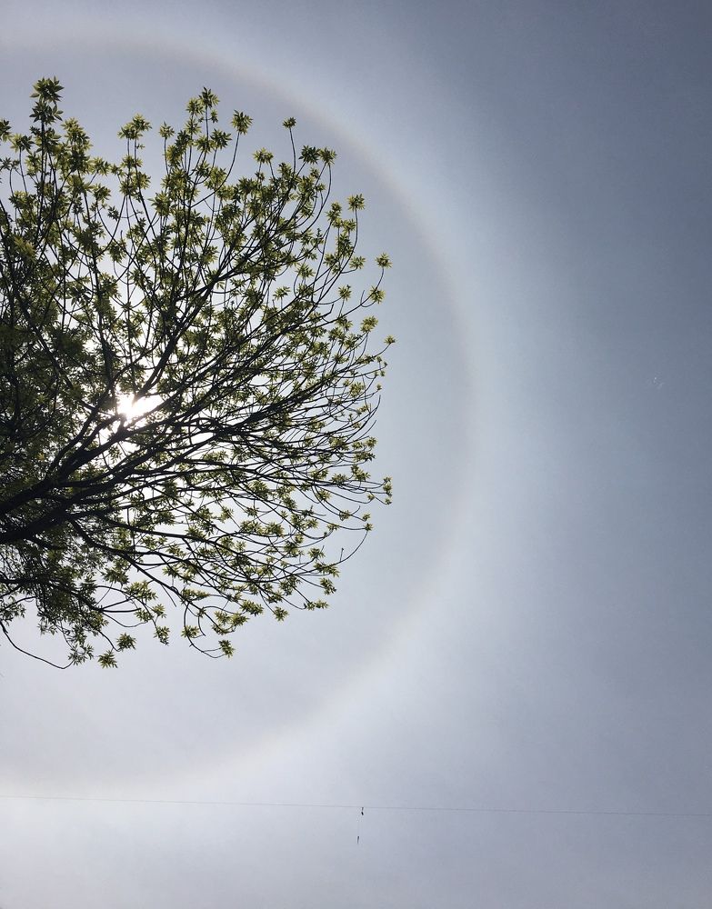 Фотография автора Балановская Виктория