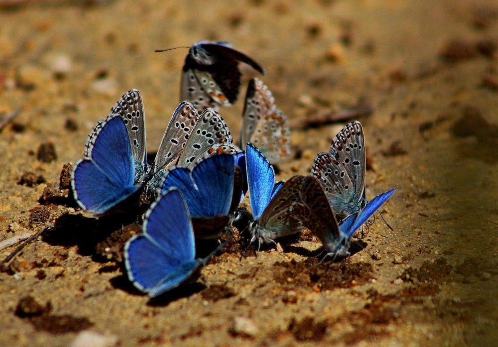 Photograph by Galina Tsmyg