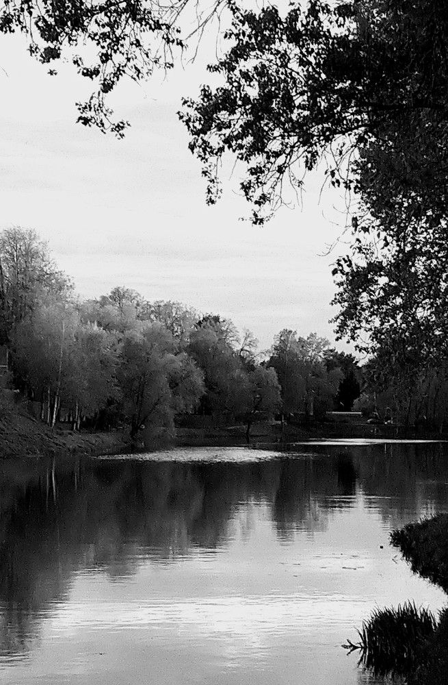 Весенний пруд