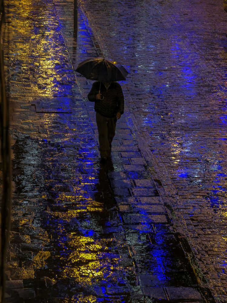 Фотография автора Mojtaba Chenari