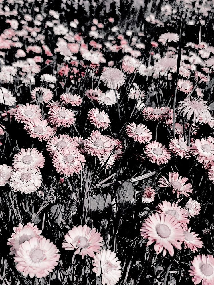 Photograph by Ксения Арнатович