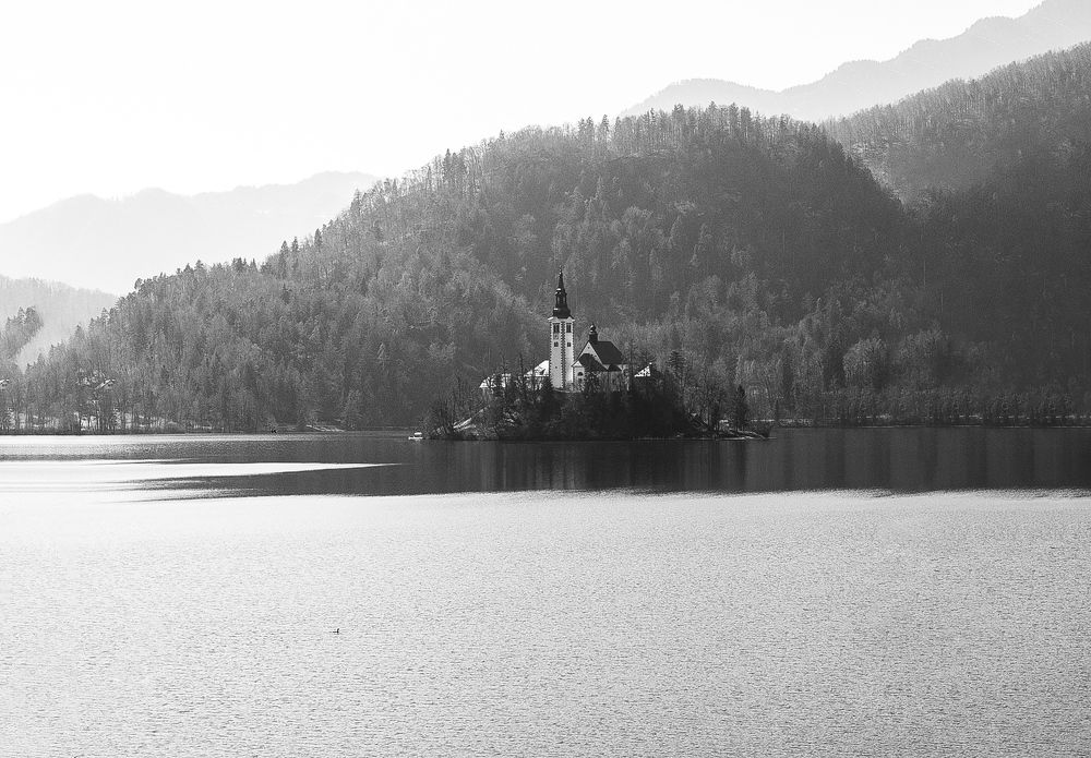 Photograph by Iryna Rybka