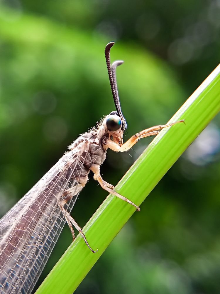 Photograph by Anupama Jayaprakash