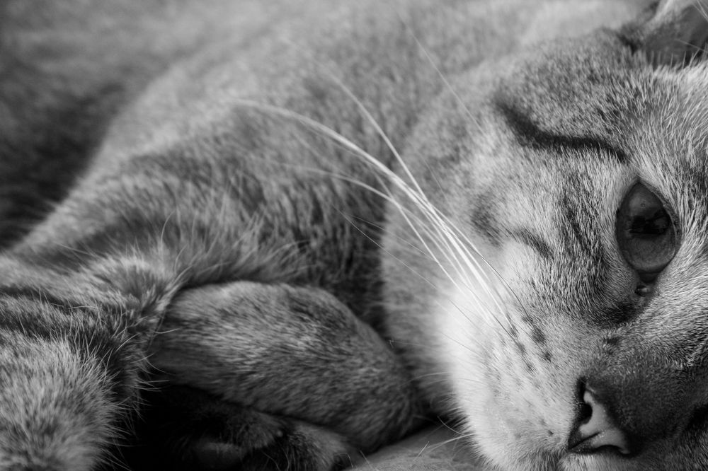 Photograph by Flávio Cavalcante