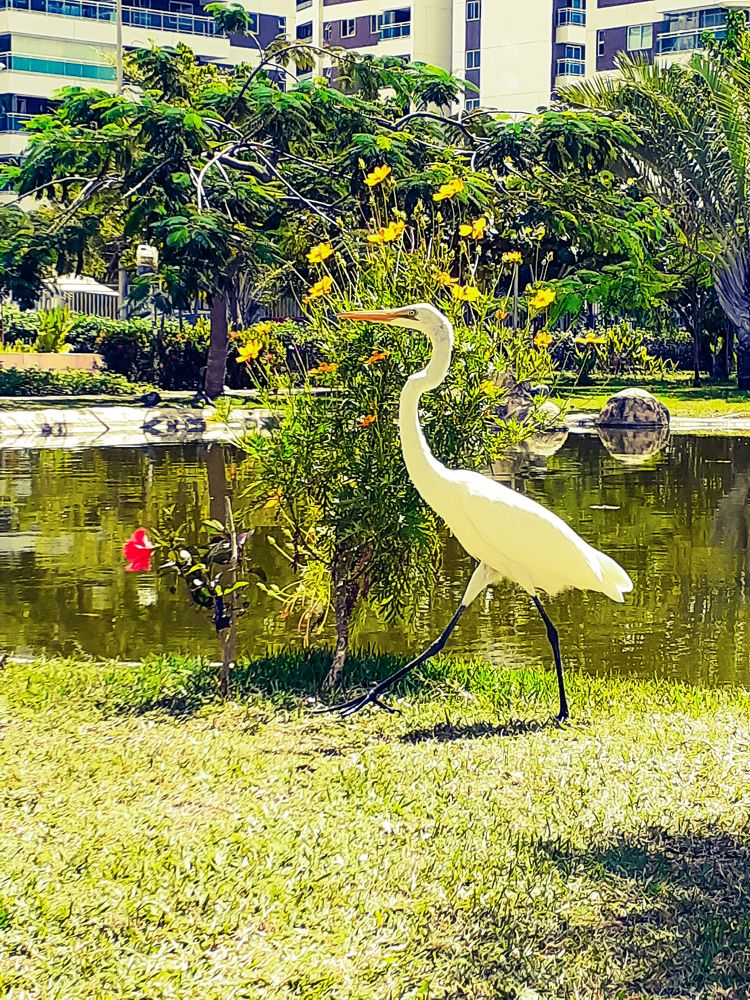 Photograph by Flávio Cavalcante