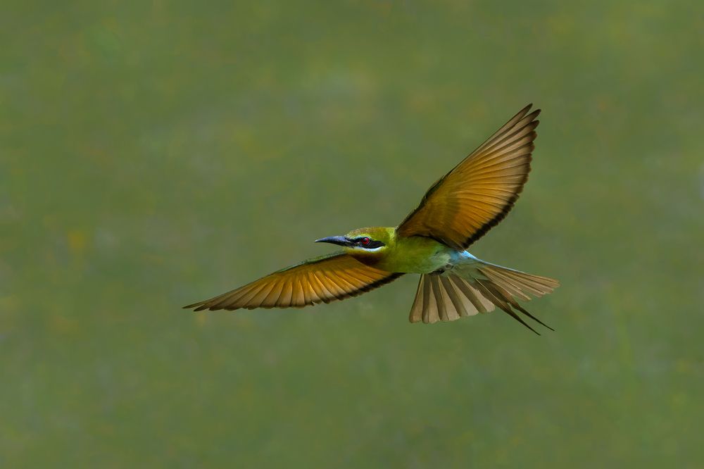 Photograph by Mousam Ray