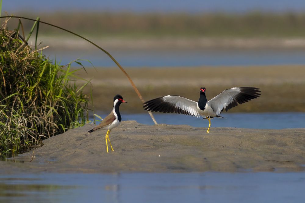 Photograph by Mousam Ray