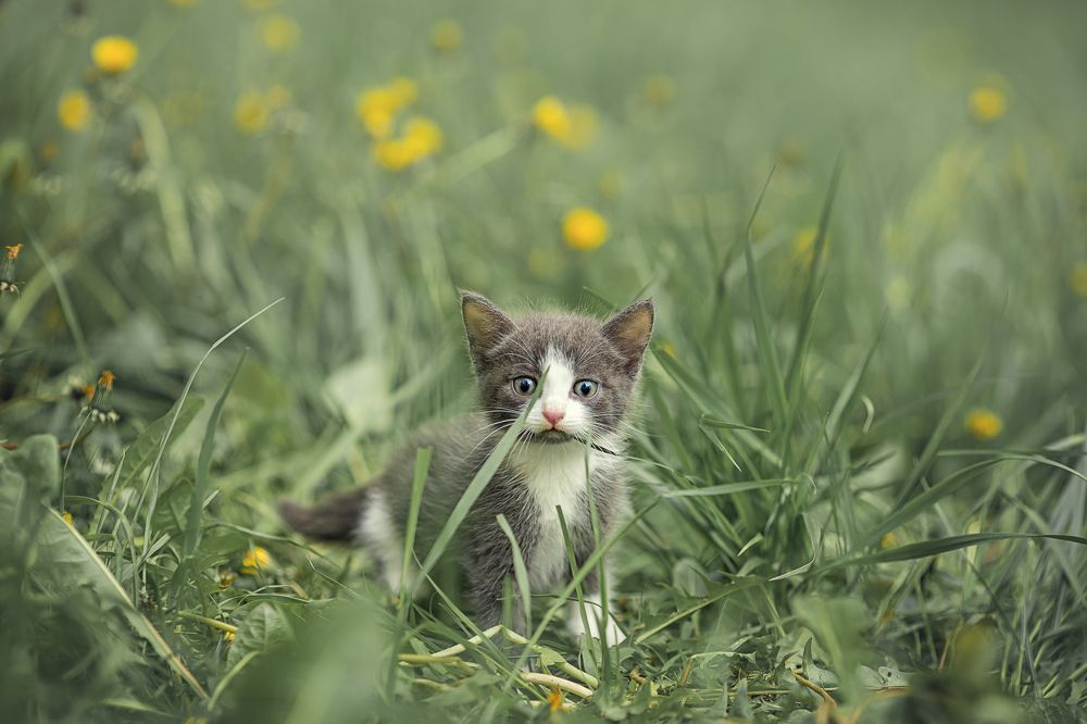 Photograph by LIDIYA HOLD