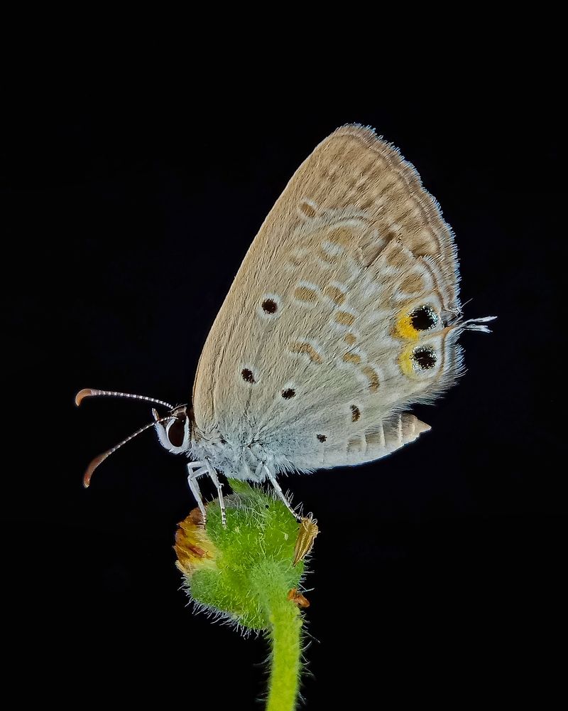 Photograph by Kumar. P Deekshith