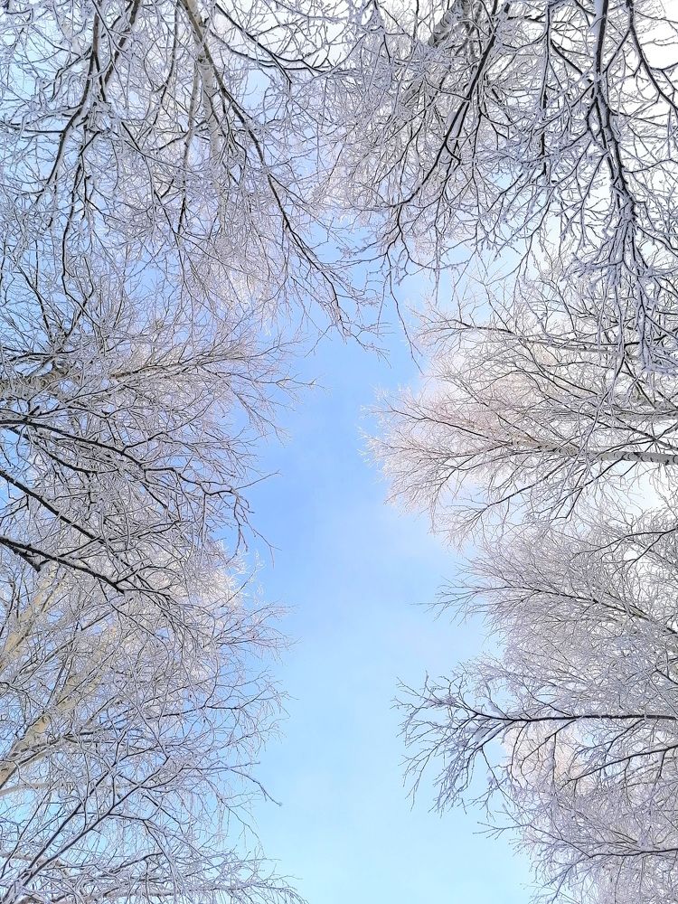 Photograph by Эльза Юнусова