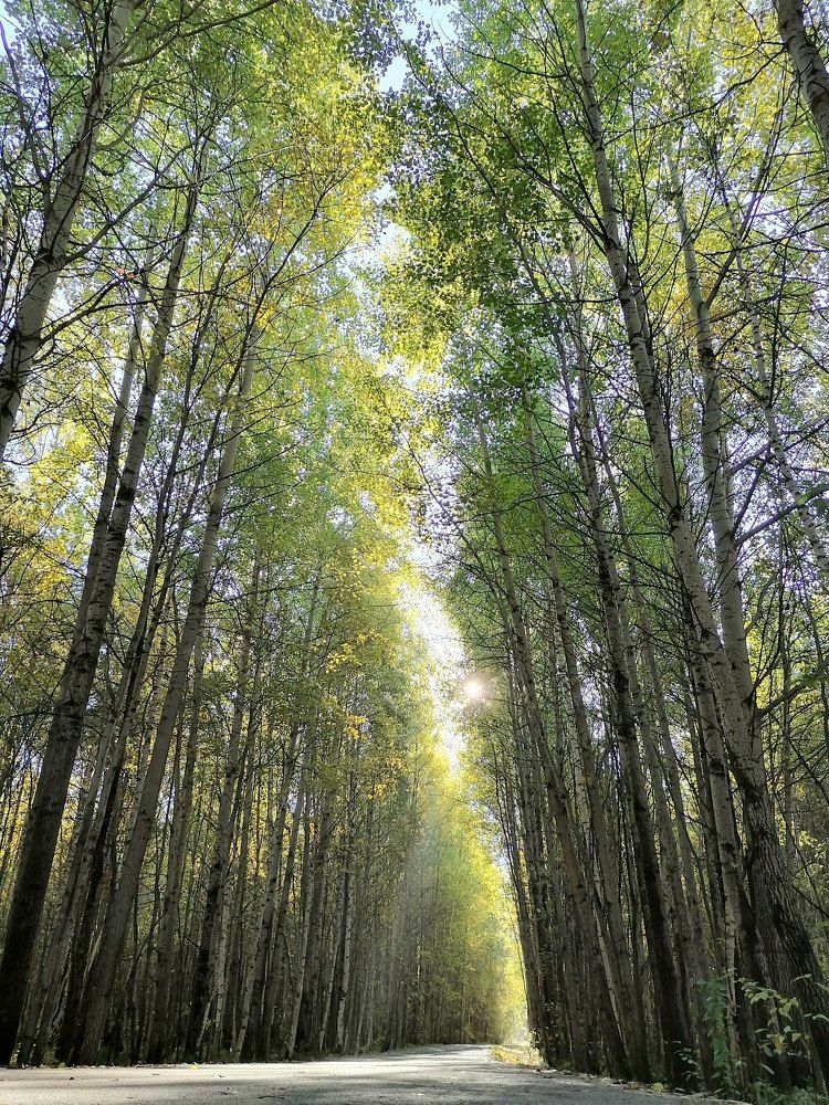 Photograph by Эльза Юнусова