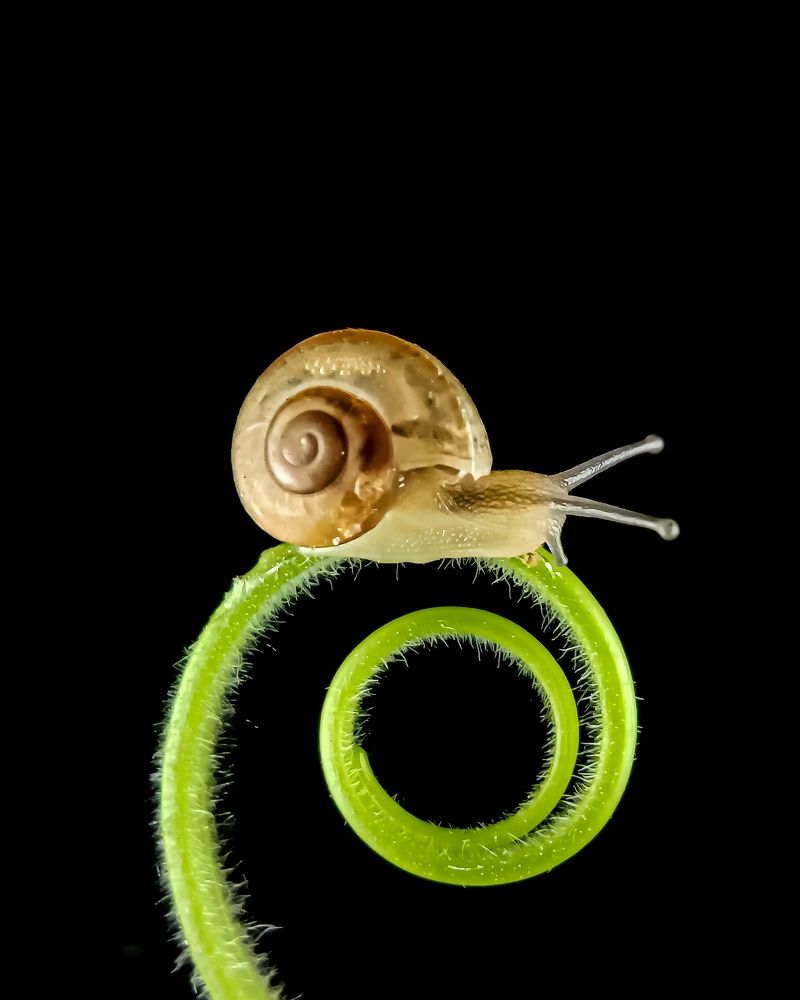 Photograph by Kumar. P Deekshith