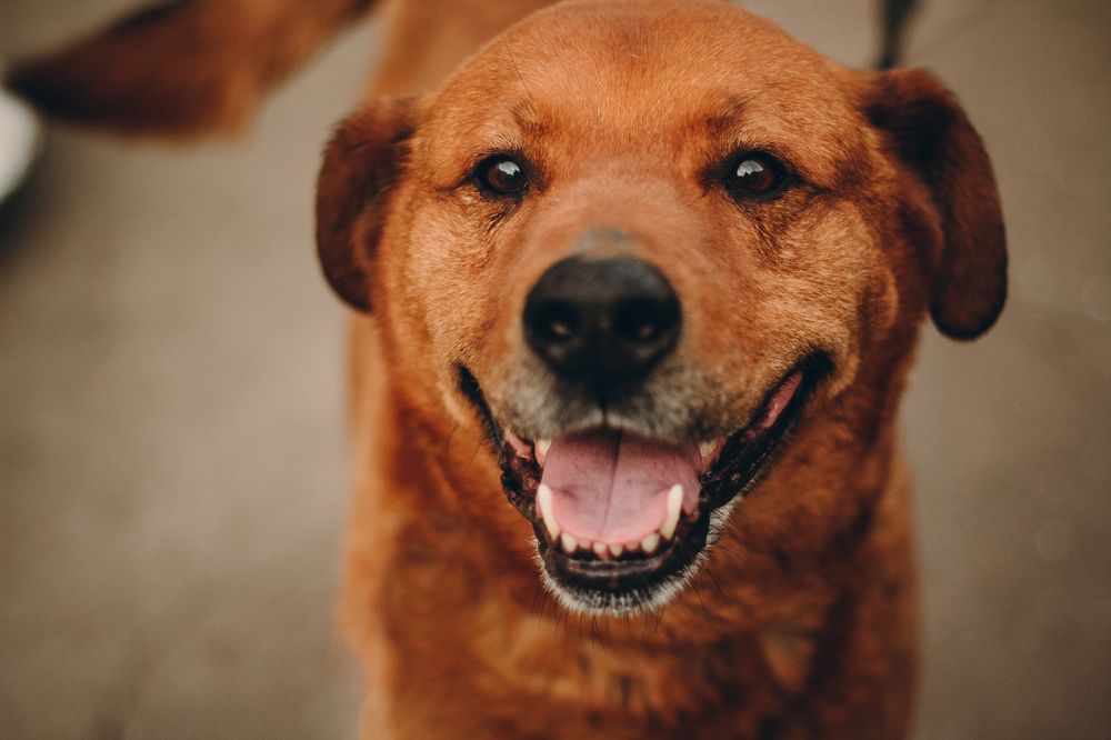 Photograph by Павел Каминский