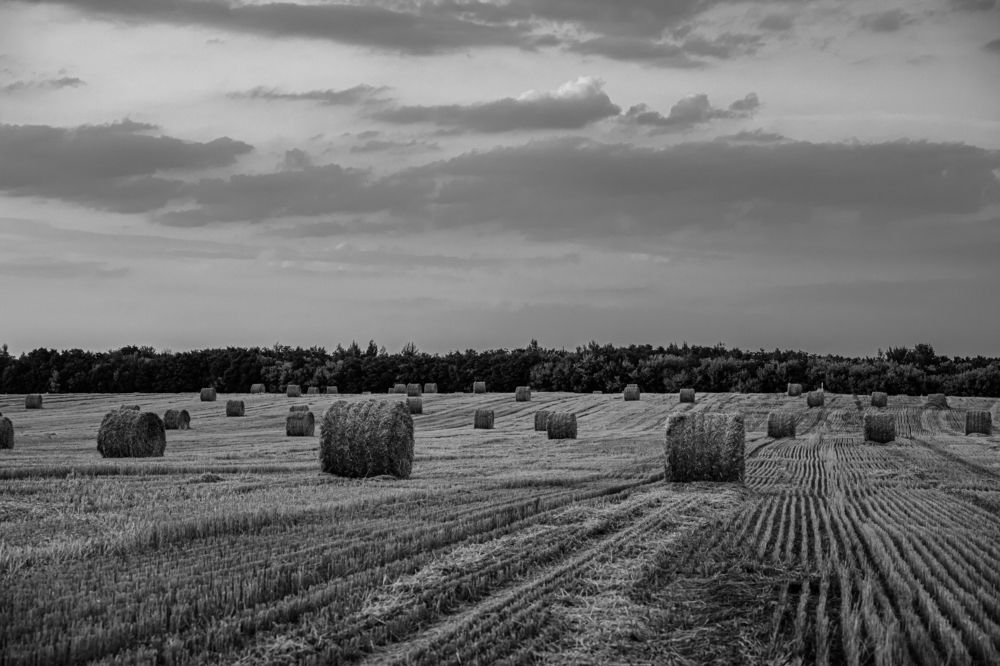 Фотография автора Лукашенко Ольга