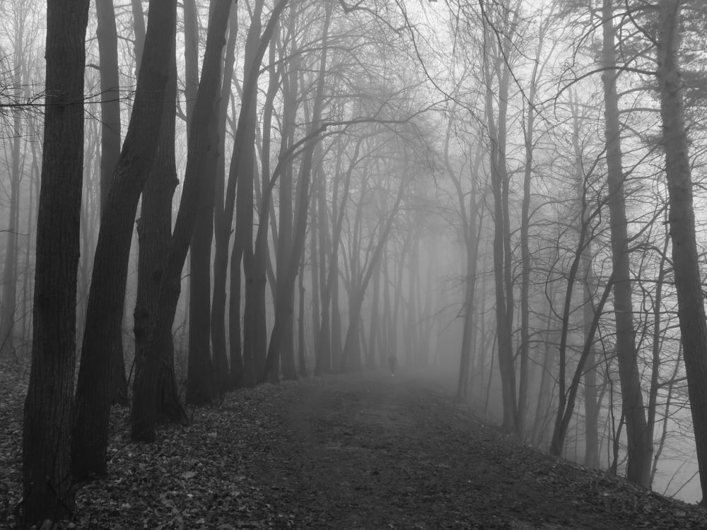 Photograph by Игорь Криулин