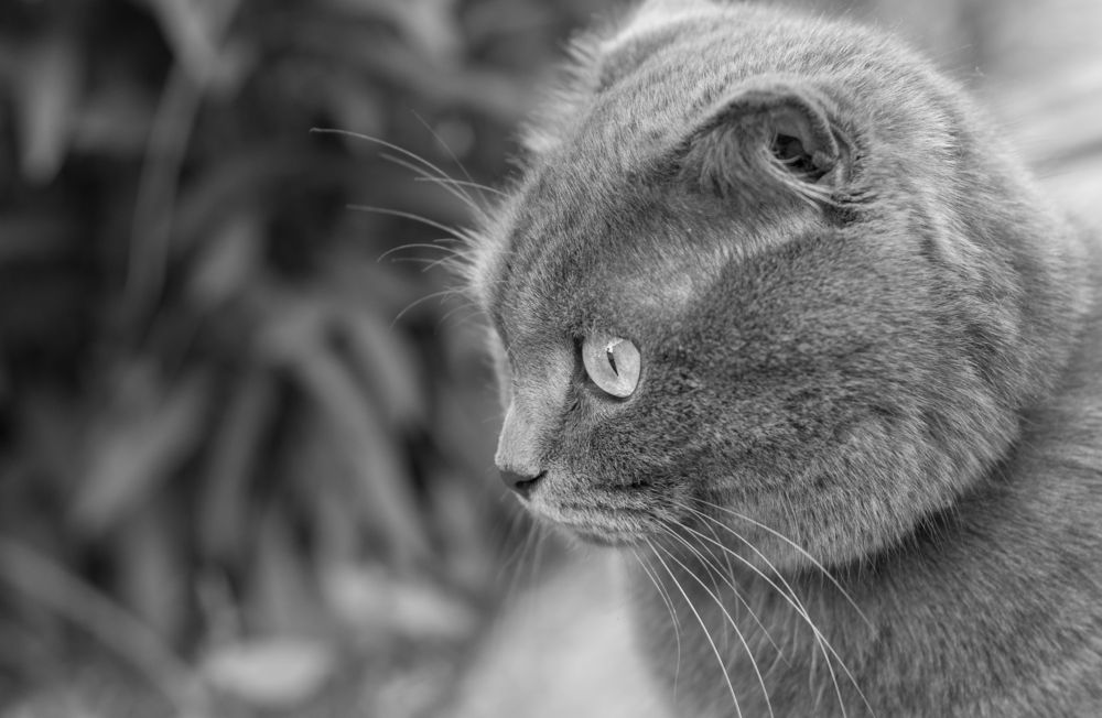 Photograph by Михаил Редин
