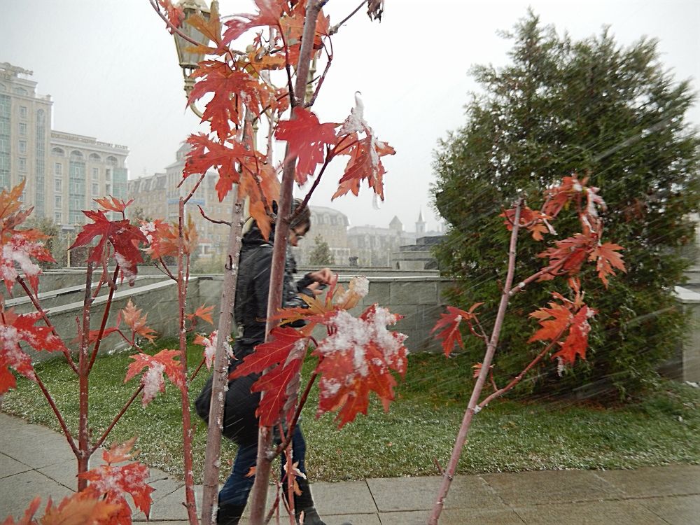 Фотография автора Клавдия Васильева