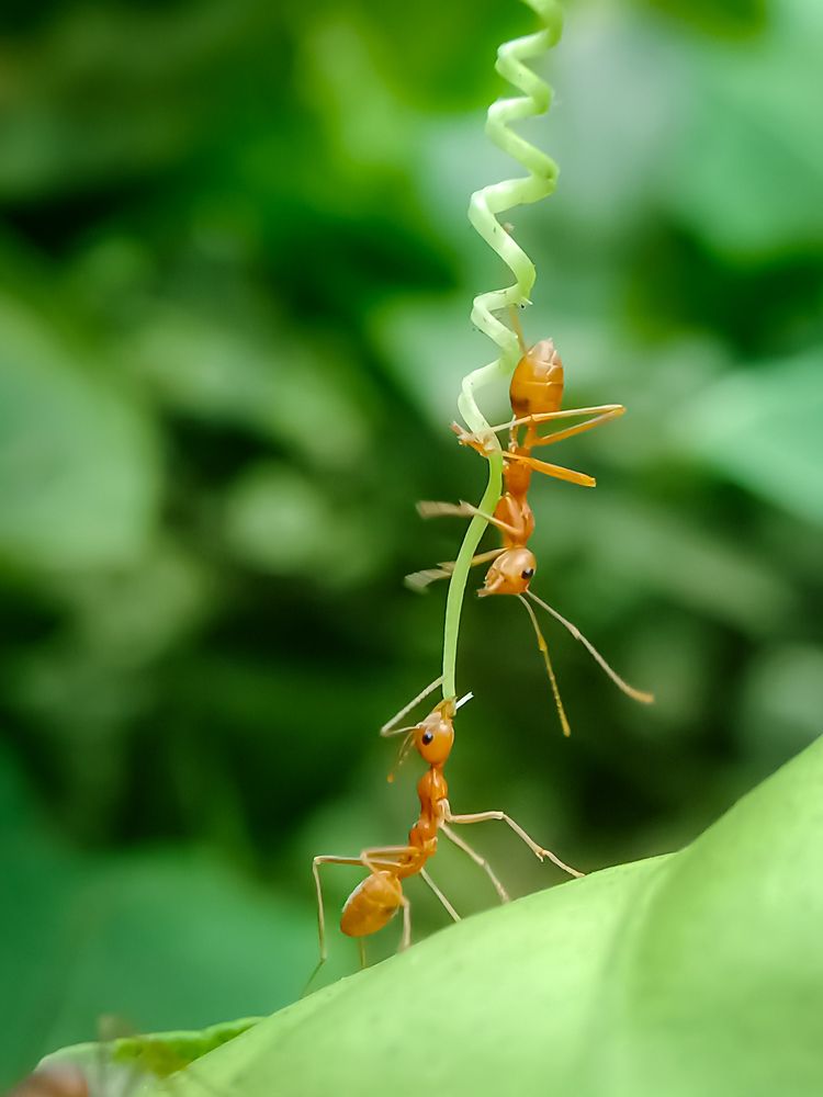 Photograph by Souvik Bhowmik